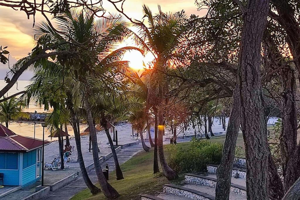 Studio Vue Mer Guadeloupe Sainte-Anne  Exteriör bild