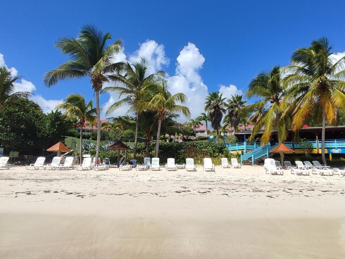 Studio Vue Mer Guadeloupe Sainte-Anne  Exteriör bild