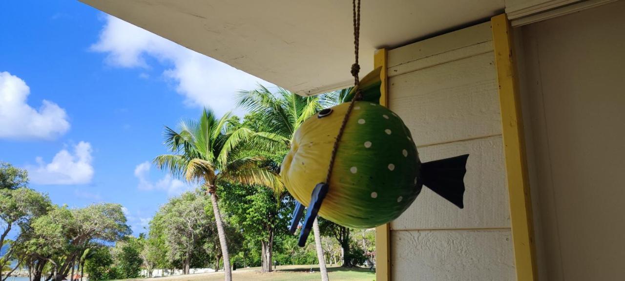 Studio Vue Mer Guadeloupe Sainte-Anne  Exteriör bild